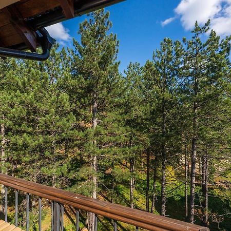 Apartment Grey Mountain ズラティボール エクステリア 写真