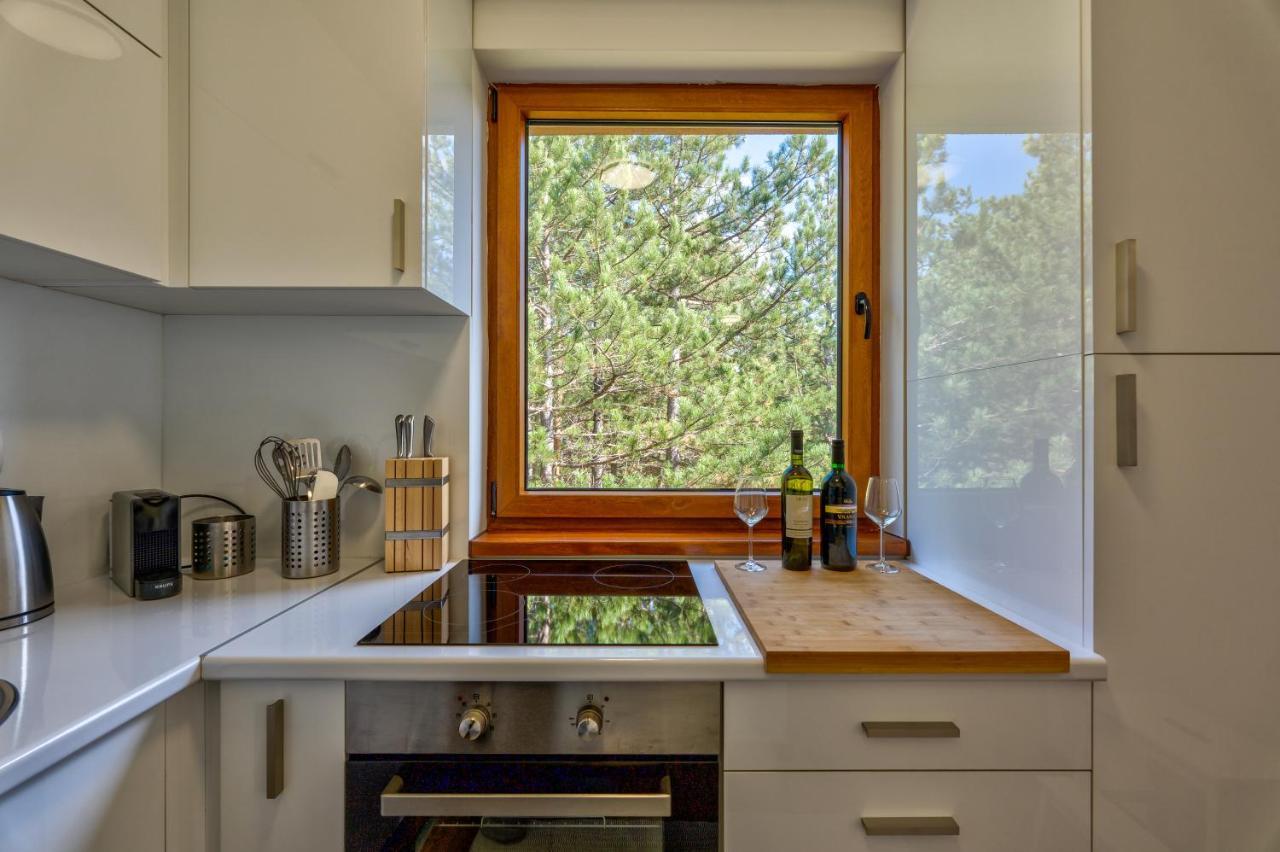 Apartment Grey Mountain ズラティボール エクステリア 写真