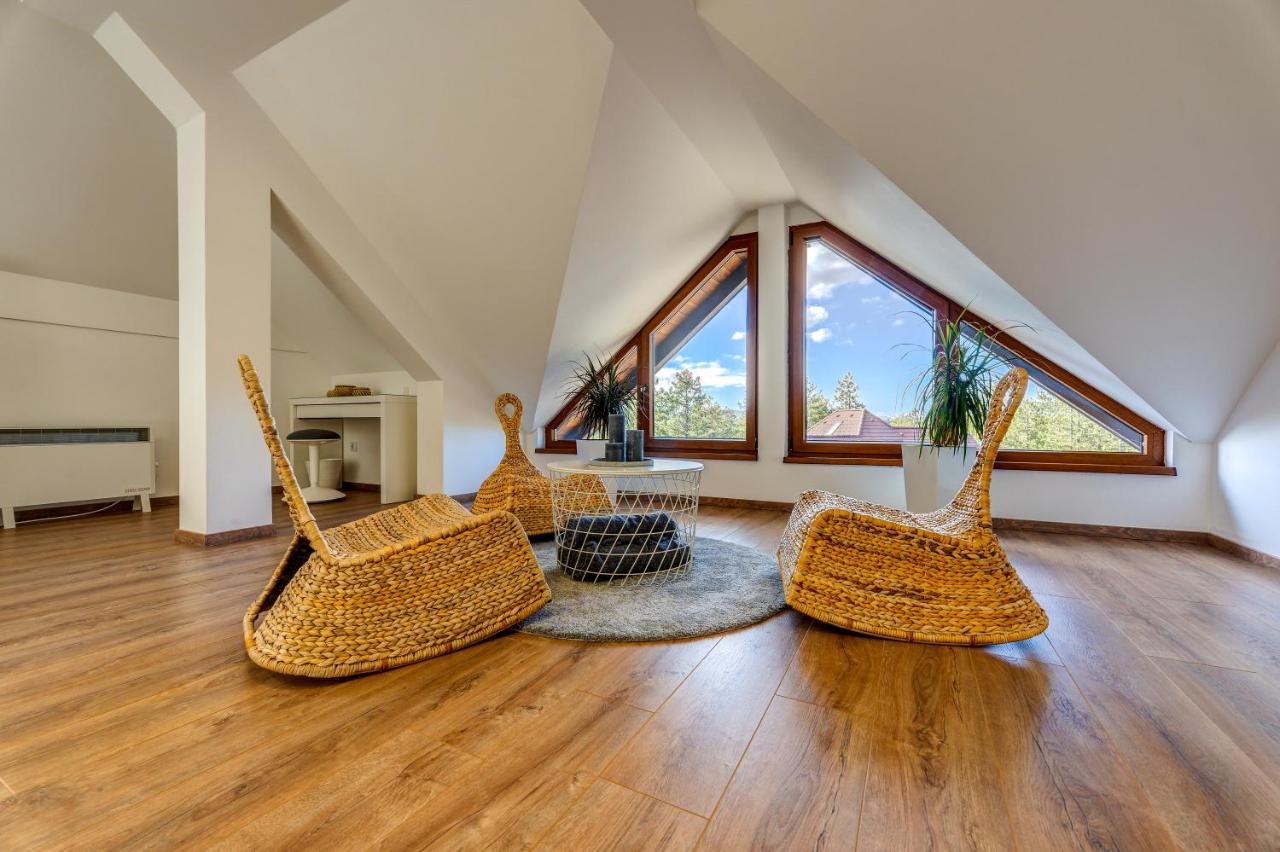 Apartment Grey Mountain ズラティボール エクステリア 写真