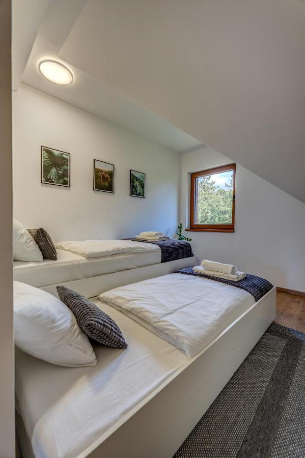 Apartment Grey Mountain ズラティボール エクステリア 写真