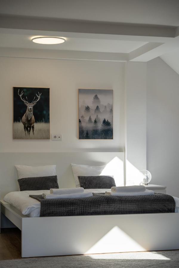 Apartment Grey Mountain ズラティボール エクステリア 写真
