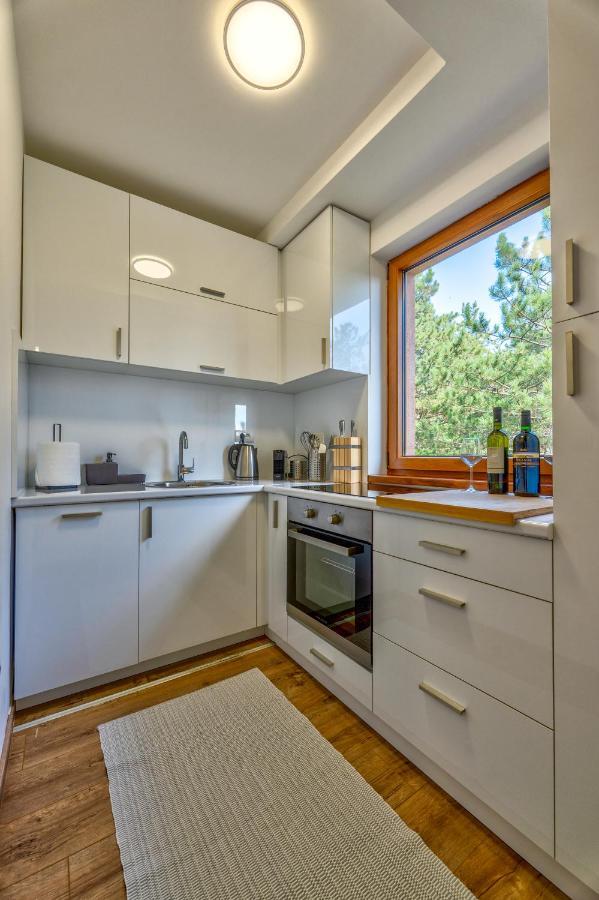 Apartment Grey Mountain ズラティボール エクステリア 写真